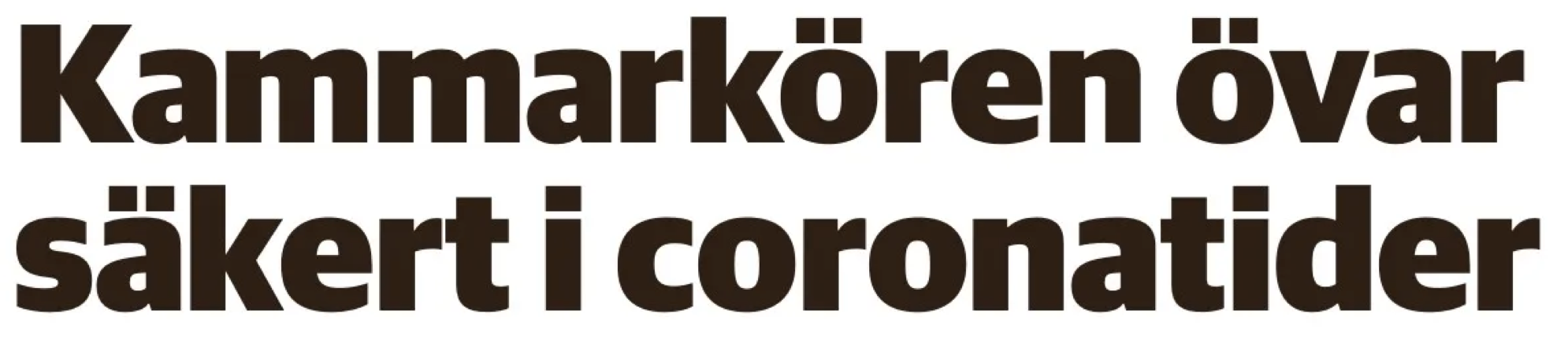 Rubrik tidningsartikel